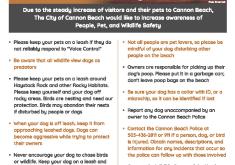 People, Pet and Wildlife Safety flyer