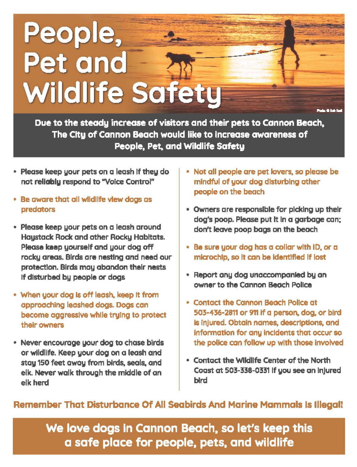 People, Pet and Wildlife Safety flyer